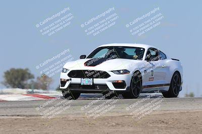 media/Oct-04-2025-OnGrid (Sat) [[44bd565ffa]]/Purple Group/Grapevine/